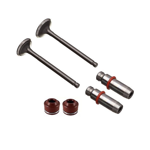 Kit Valvula Ww3 (6pcs) Biz 125 05/ [F016]