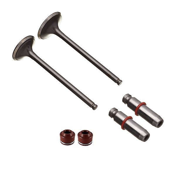 Kit Valvula Ww3 (6pcs) Cg 150 04/15 - Bros 150 06/15 [F016]