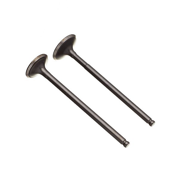 Valvula Adm/esc. (par) Ww3 Yes 125 [F016]