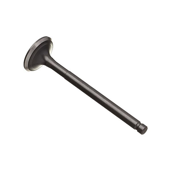 Valvula Escape Ww3 Cg 125 76/91 [F016]