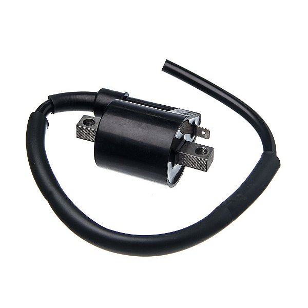 Bobina Ignicao Condor 12v Ybr 125 [F016]