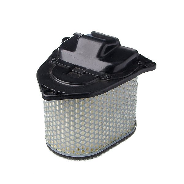Elemento Filtro De Ar Eis Suz-boulevard C1500 05-09 [F016]