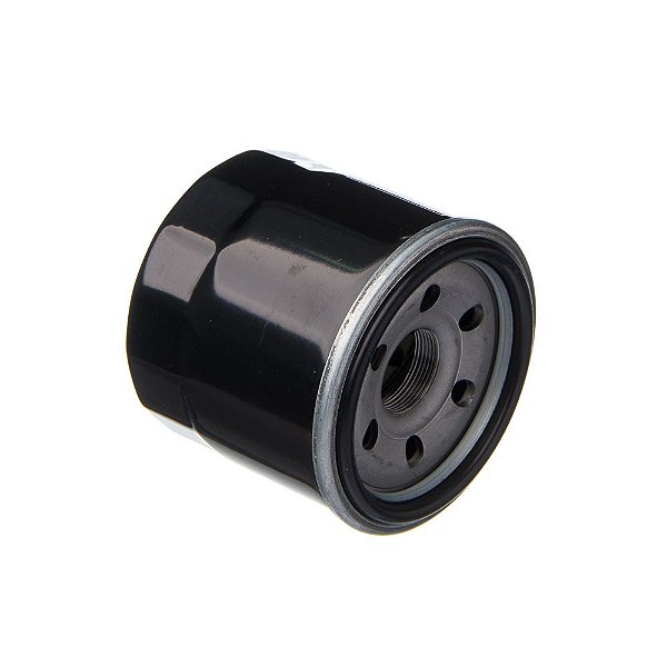 Filtro De Oleo Eis Suz-bandit 650s 09-10 Bandit N1200 04-06 [F016]