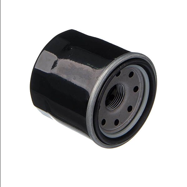 Filtro De Oleo Eis Suzuki - Gsx1000r - Hayabusa - Boulevard [F016]