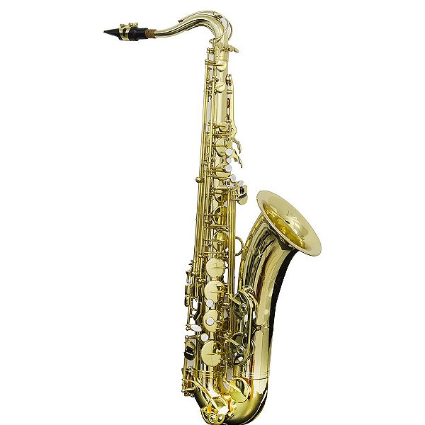 Saxofone Tenor Ts 200 Laqueado Dourado Com Case New York [F097]