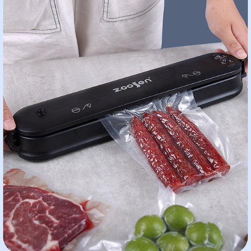 Seladora A Vácuo Embaladora Alimentos Bivolt [F102]