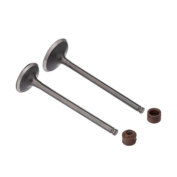 Valvula E Retentor Kit (4pcs) Ww3 Cg 160 16/ Ret. Marrom [F016]
