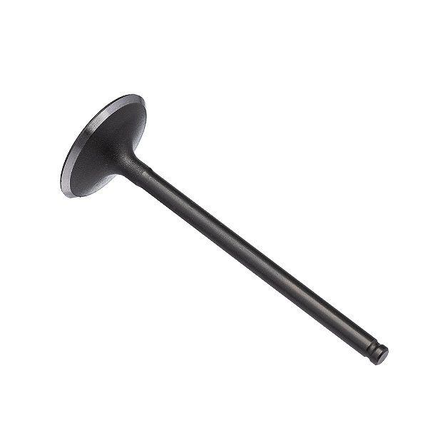 Valvula Admissao Kmp Cg 160 - Bros 160 [F016]