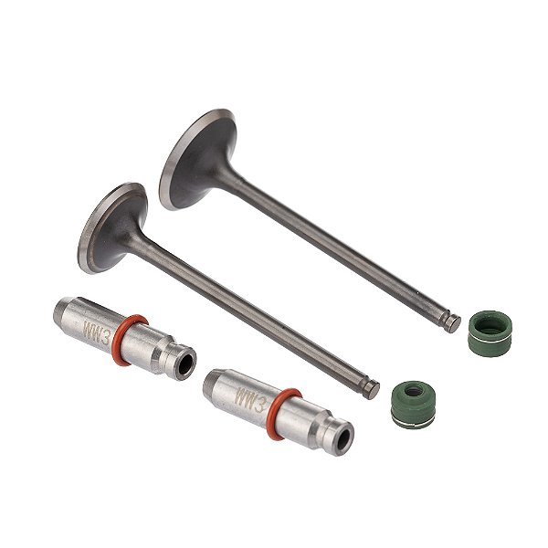 Valvula Guia E Retentor Kit (6pcs) Ww3 Cg 150 04/15 Reten. Verde [F016]