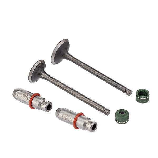 Valvula Guia E Retentor Kit (6pcs) Ww3 Biz 125 05/ Reten. Verde [F016]