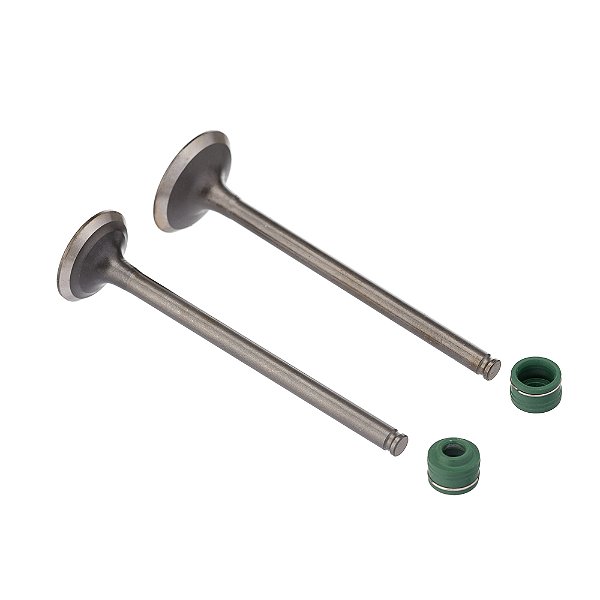 Valvula E Retentor Kit (4pcs) Ww3 Cb 250f Twister 16/22 [F016]