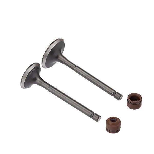 Valvula E Retentor Kit (4pcs) Ww3 Ybr 125 00/ Ret. Marrom [F016]
