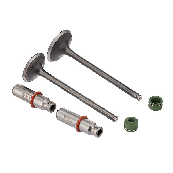 Valvula Guia E Retentor Kit (6pcs) Ww3 Cg 150 04/08 +0.20 Ret. V [F016]