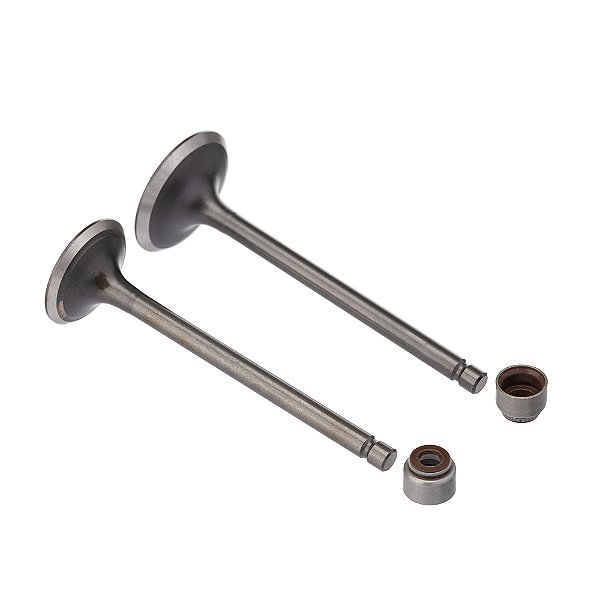 Valvula E Retentor Kit (4pcs) Ww3 Fazer 250 07/ - Lander 250 [F016]