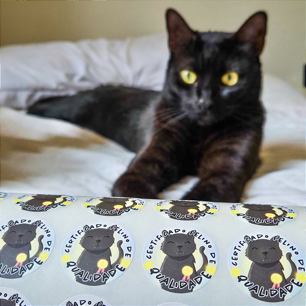 Pacote de adesivos redondos coleção gatos 3x3cm