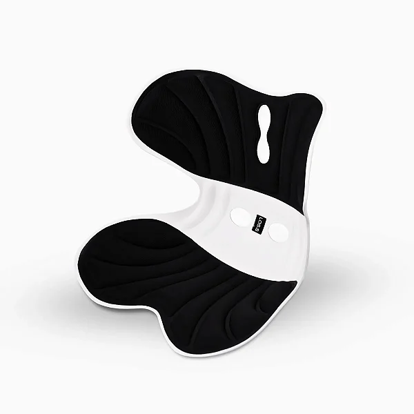 Almofada de Apoio Lombar Cadeira Correção de Coluna GG - PRE