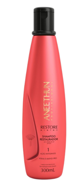 Aneethun Restore System Shampoo Restaurador 300ml