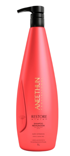 Aneethun Restore System Shampoo Restaurador 1L