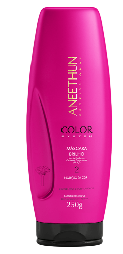 Aneethun Máscara Brilho Color System 250g