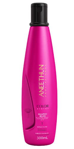 Aneethun Color System Shampoo de Brilho 300ml