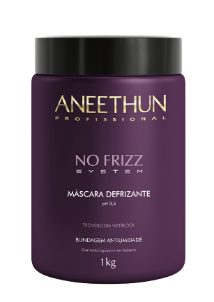 Aneethun No Frizz System Máscara Defrizante Blindagem Antiumidade 1 Kg
