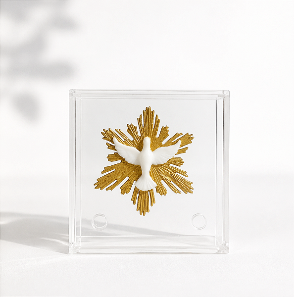 Placa Espírito Santo Luz