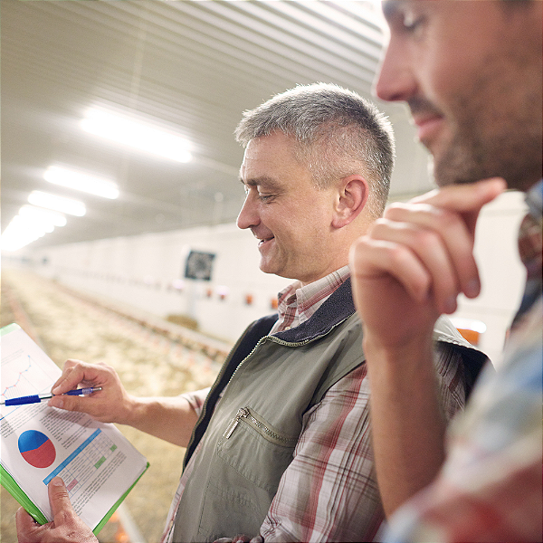 Consultoria SAP para Controle de Custos no Agronegócio | RAIZYS