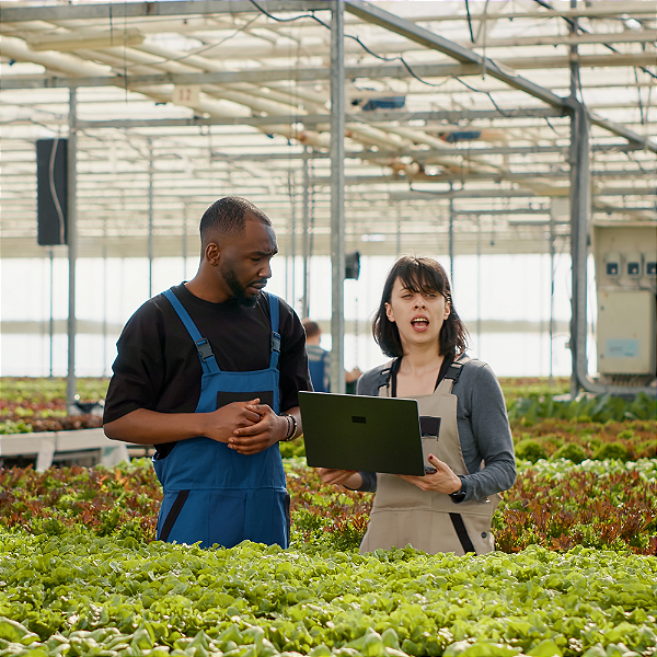 Consultoria SAP para Visão Consolidada do Negócio no Agronegócio | RAIZYS