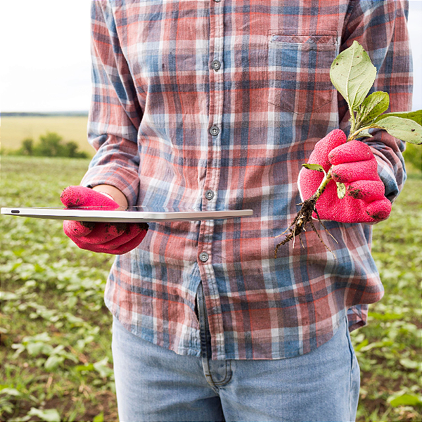 Consultoria SAP para Redução de Custos Invisíveis no Agronegócio | RAIZYS