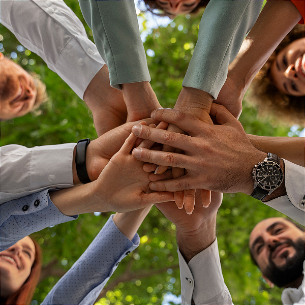 Consultoria SAP para Governança e Transparência em Cooperativas Agrícolas | RAIZYS