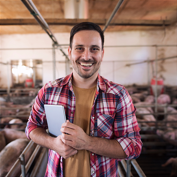 Consultoria SAP para Gestão de Custos e Rentabilidade na Pecuária | RAIZYS