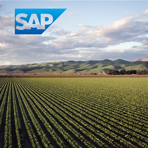 Como Controlar Custo por Safra e Talhão no Agronegócio com ERP SAP