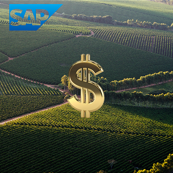 Como Melhorar Fluxo de Caixa e Capital de Giro no Agronegócio com ERP SAP