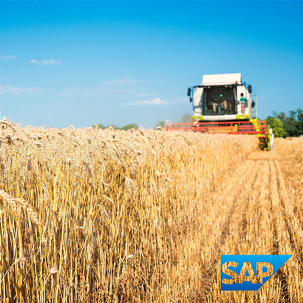 Como Controlar Estoque de Grãos entre Fazenda, Armazém e Contrato no ERP com SAP