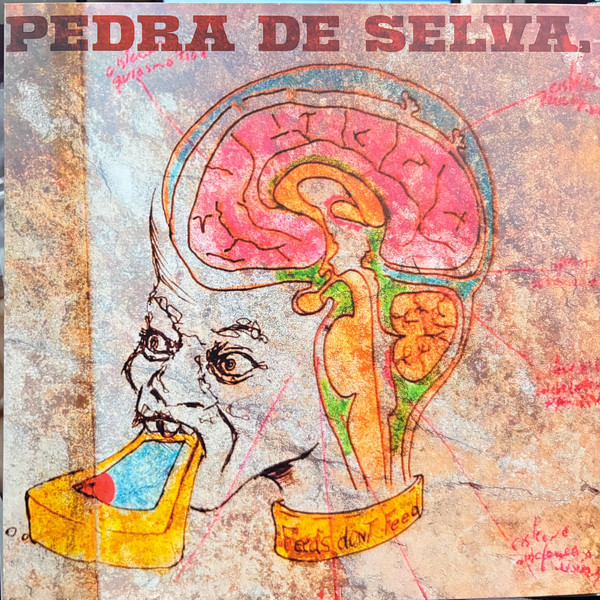 Curumin - Pedra De Selva