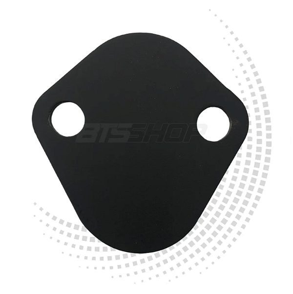 Tampão de bomba combustível BTS Motor Ford 302