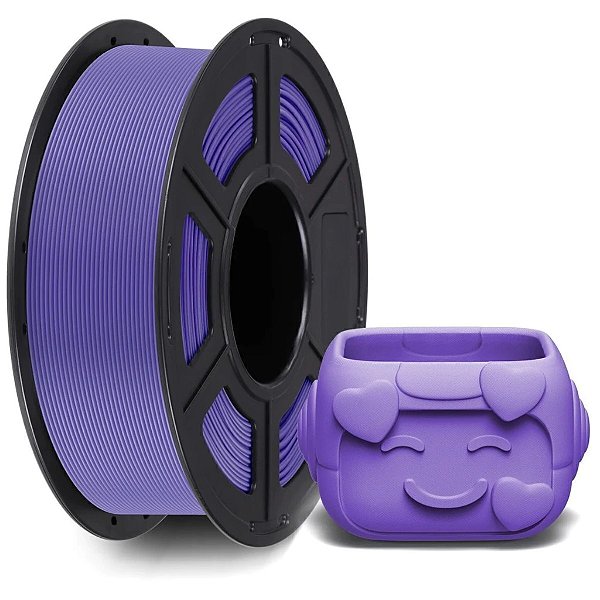Filamento PETG Roxo - Anycubic