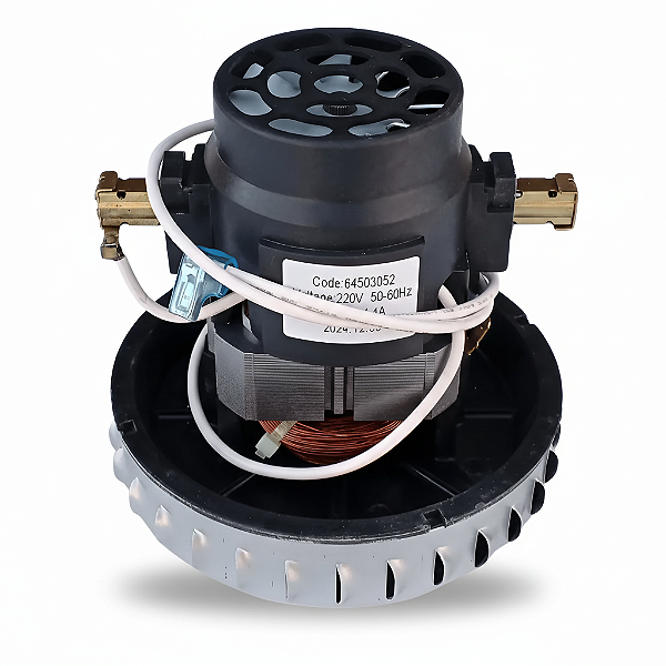 Motor Aspirador Electrolux 220V 64503052 Original A10N1 GT20N AWD01