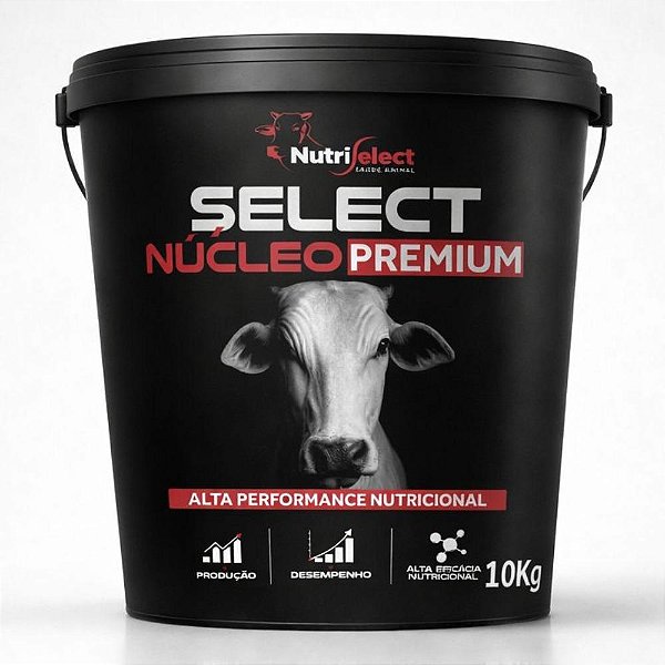 SELECT NÚCLEO PREMIUM - 10KG