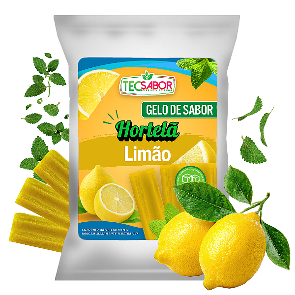 Gelo de Sabor Hortelã com Limão 1 kg