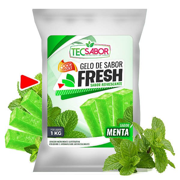 Gelo de Sabor Fresh Trident Menta 1 kg