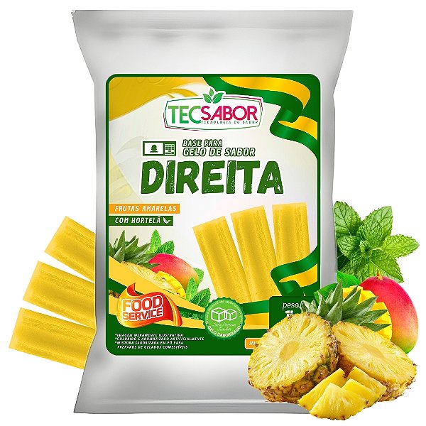 Gelo de Sabor Eleições Direita 1 kg