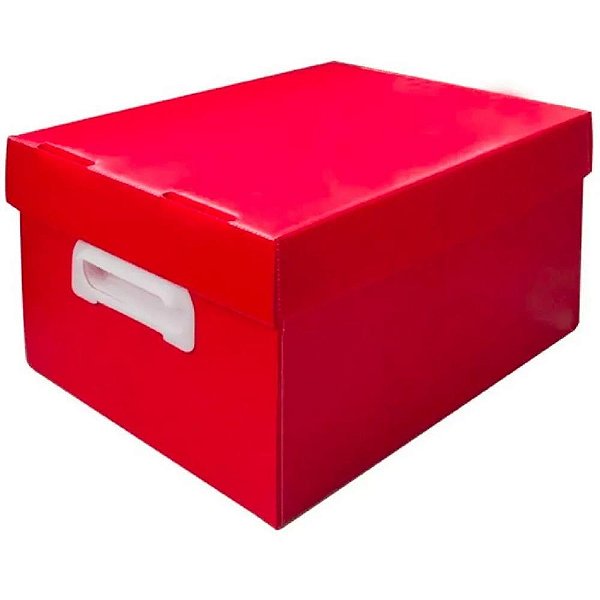 Caixa Organizadora THE BEST BOX G 437X310X240 VM