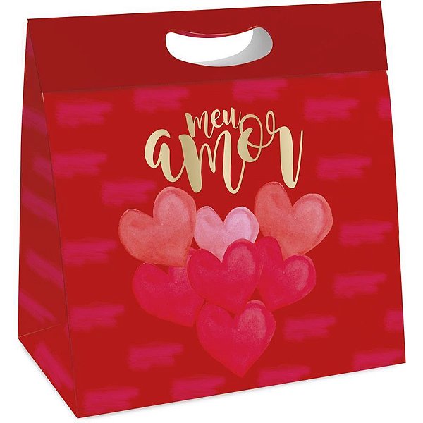 Caixa para Presente NEW PLUS M 30X23X8,5CM Believe PCT.C/10