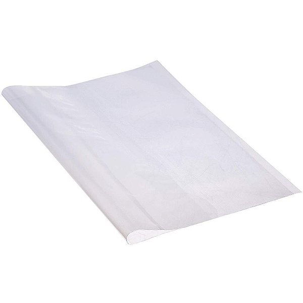 Capa para Caderno Diario PROF. TRANSP. 31,5X44CM PCT.C/50