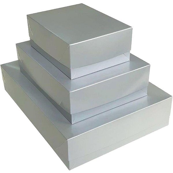 Caixa para Presente com Tampa GD 35X25,5X7,5 Prata PCT.C/05
