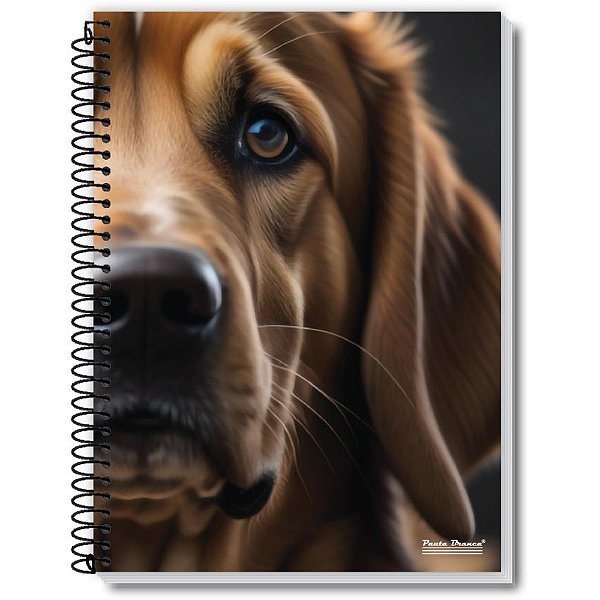 Caderno 10X1 Capa Dura ROX 200FLS. PCT.C/03