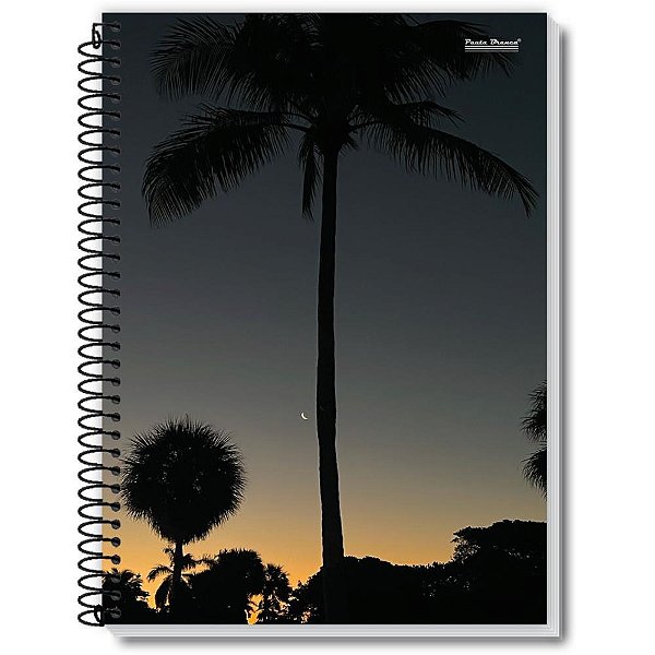 Caderno 01X1 Flexivel NEW 96FLS. PCT.C/10