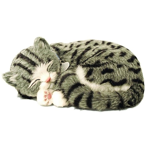 Perfect PETZZZ Filhote Gato GRAY TABBY
