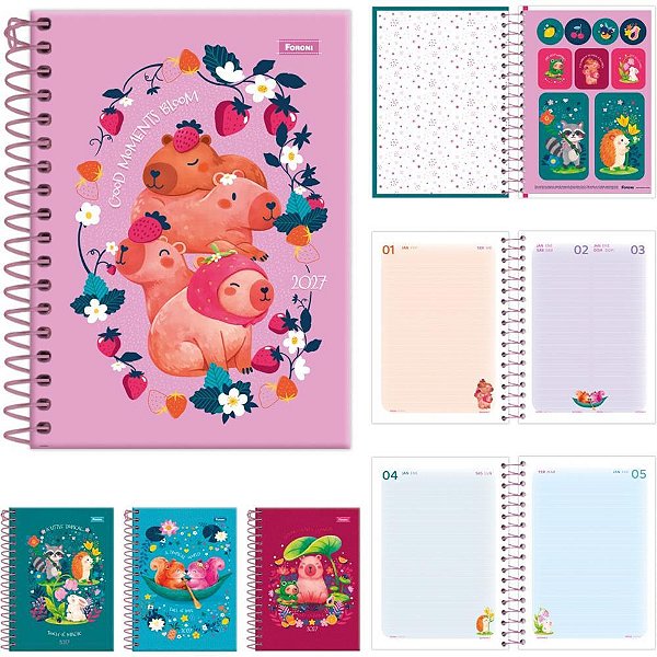 Agenda 2027 Amazzu ESP.160F. 110X154MM PCT.C/04